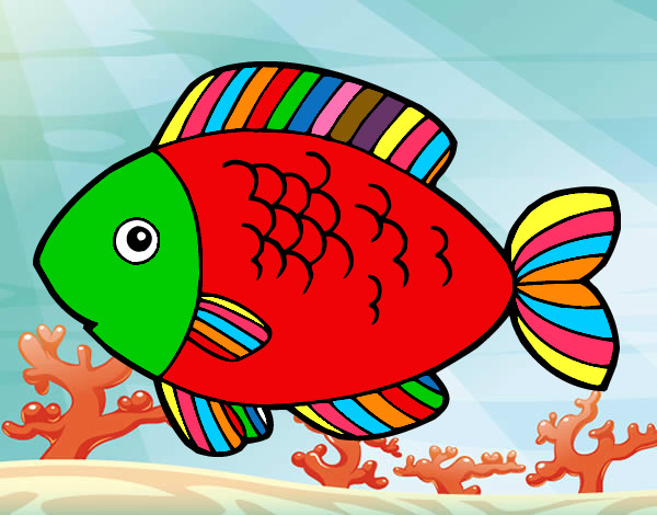 pesce arcobaleno
