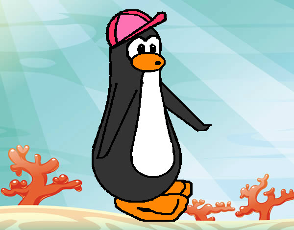 pinguino con cappellino