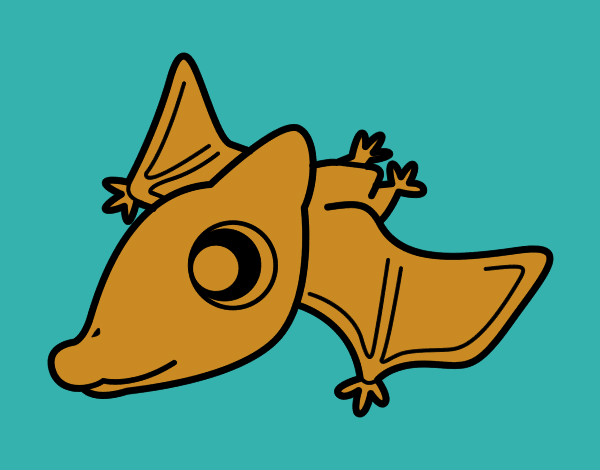 Bebè Pterodactylus