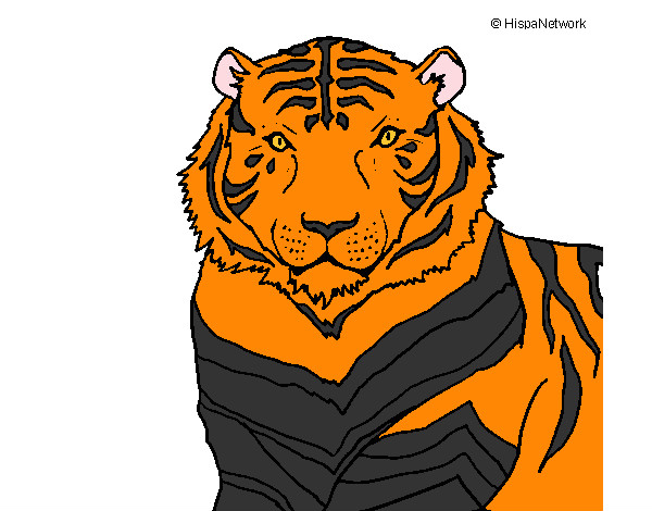 tigre della foresta