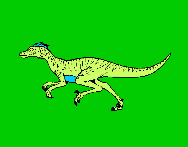 Disegno Velociraptor  pitturato su Alessandro