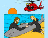 Disegno Salvataggio di una balena pitturato su Davide2007