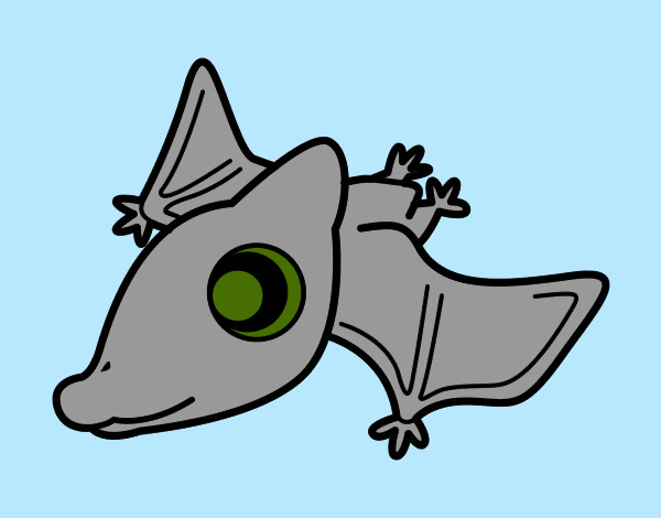 Bebè Pterodactylus