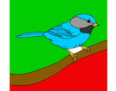 Disegno Uccellino  pitturato su lucagibbs