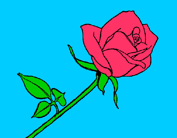 Disegno Rosa  pitturato su Nikolette