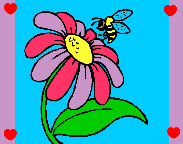 Disegno Margherita con ape  pitturato su EmmaM