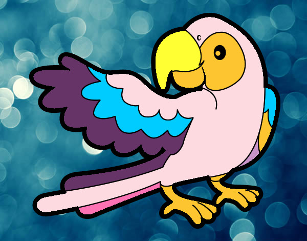 pappagallino rosa