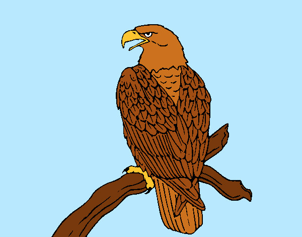 Disegno Aquila su un ramo pitturato su myriam96