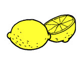 Disegno limone  pitturato su danygabri