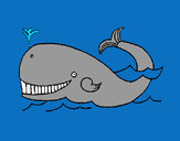 Disegno Balena  pitturato su davide07