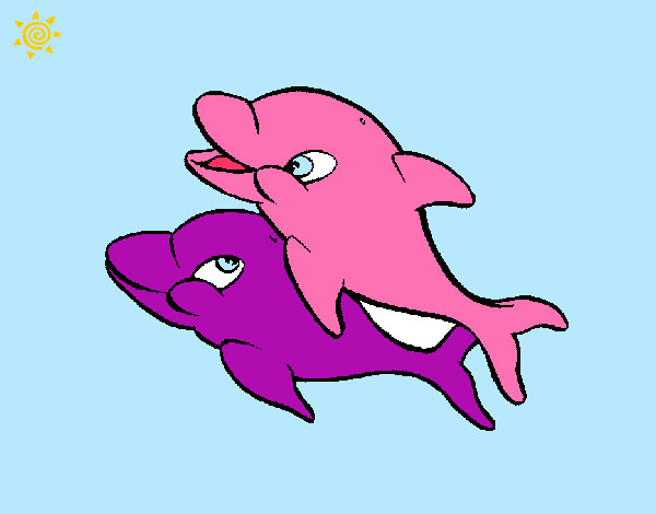 i due delfini