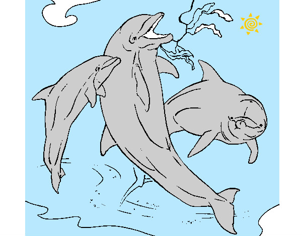 Disegno Delfini che giocano  pitturato su marco04
