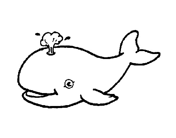 Disegno Balena che spruzza  pitturato su chiara74