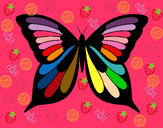 Disegno Farfalla 19 pitturato su GAIETTINA
