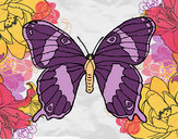 Disegno Farfalla selvatico pitturato su White_Moon