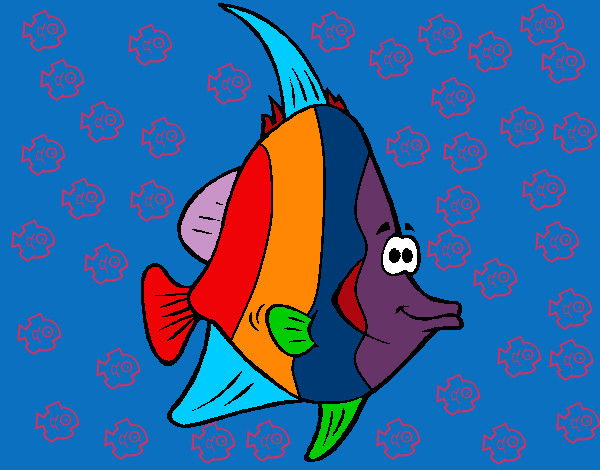 Disegno Pesce tropicale  pitturato su Giova