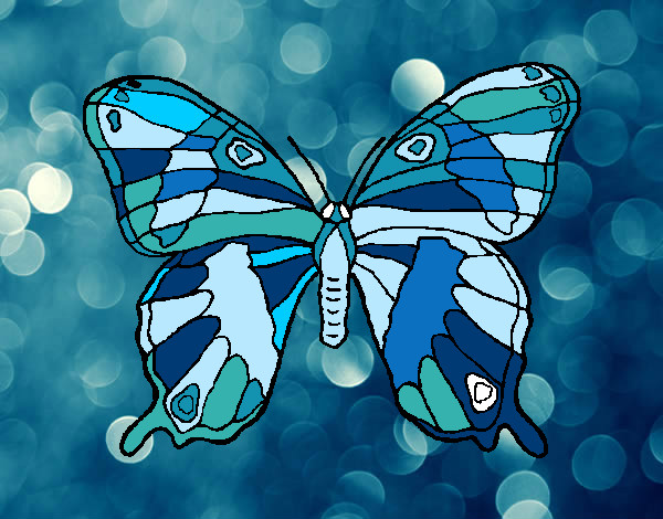 Disegno Farfalla selvatico pitturato su ralf