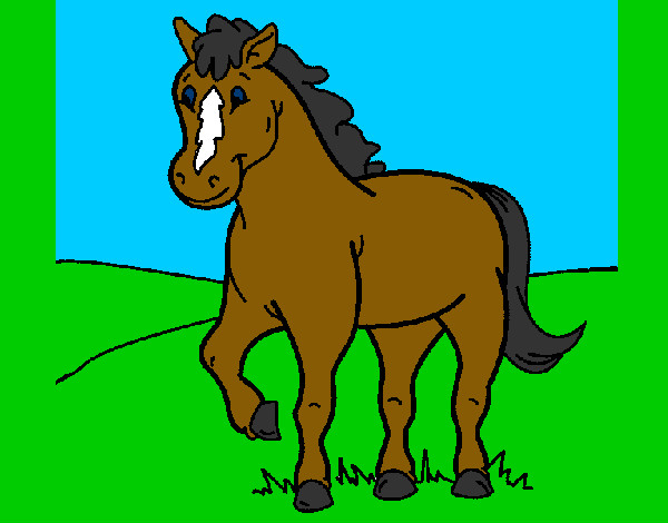Disegno Cavallo 4 pitturato su matgiulia