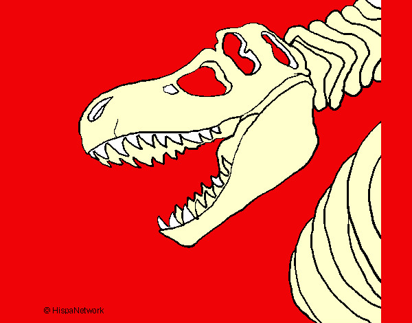 Disegno Scheletro di Tyrannosaurus rex pitturato su savatore
