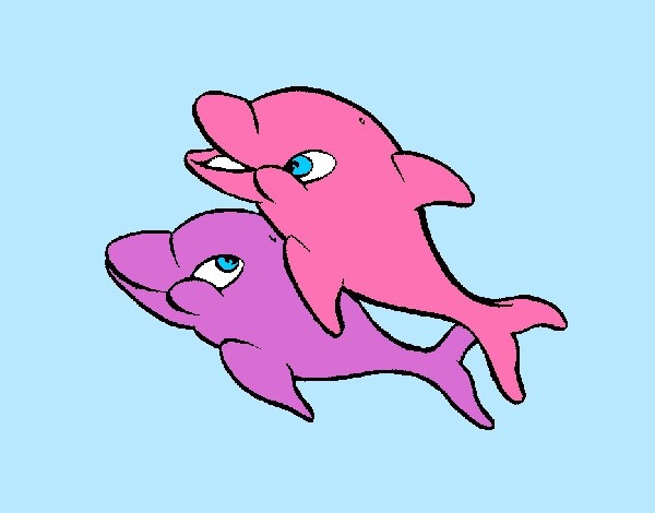 i 2 delfini