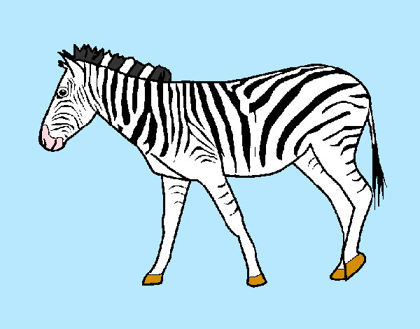 Disegno Zebra  pitturato su ale04