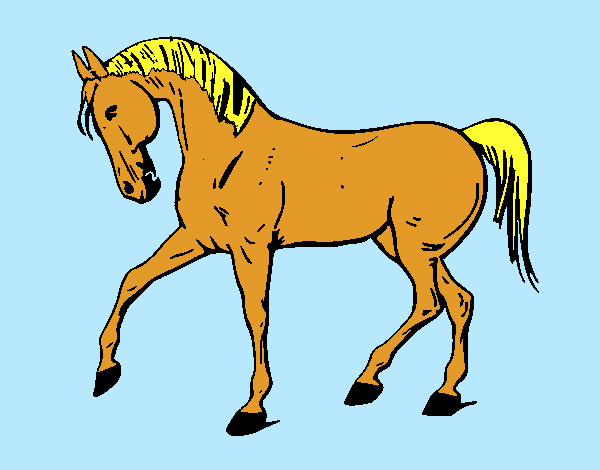 Cavallo con la zampa alzata 