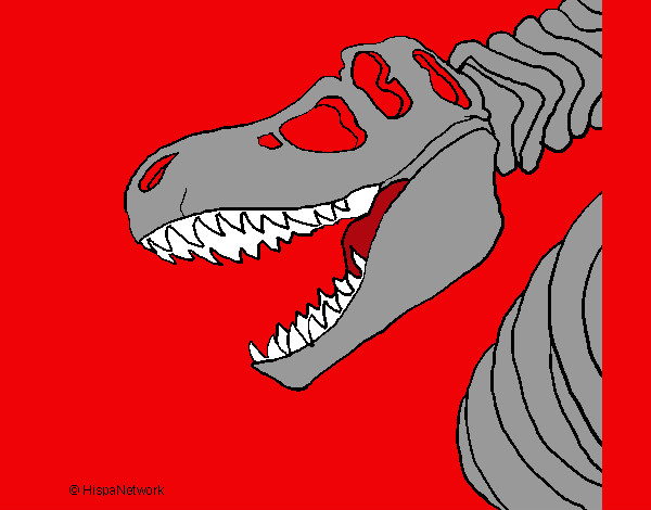 Disegno Scheletro di Tyrannosaurus rex pitturato su elisaarnau