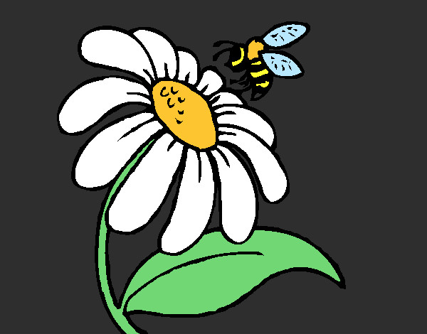 Disegno Margherita con ape  pitturato su eli30