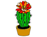 Disegno Cactus fiorito  pitturato su Ilaria67