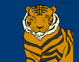 Disegno Tigre pitturato su vtyi