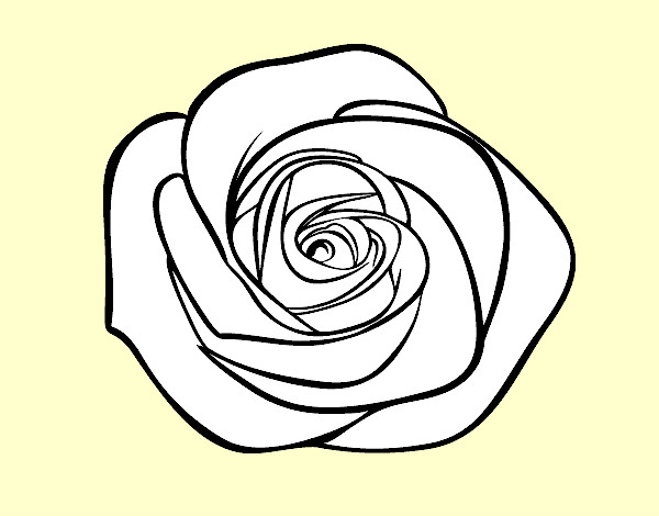 Disegno Fiore di rosa pitturato su 2mlab