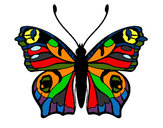 Disegno Farfalla 20 pitturato su giuse