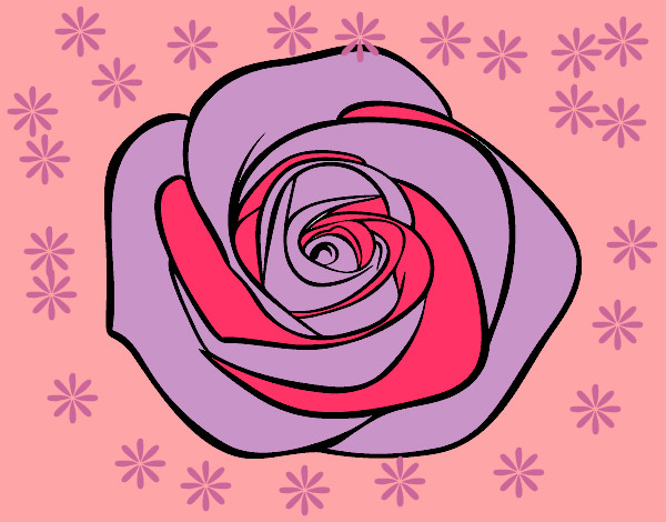 Fiore di rosa