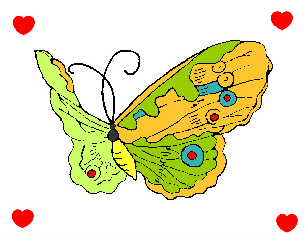 Disegno Farfalla Elegante pitturato su PEPETTO