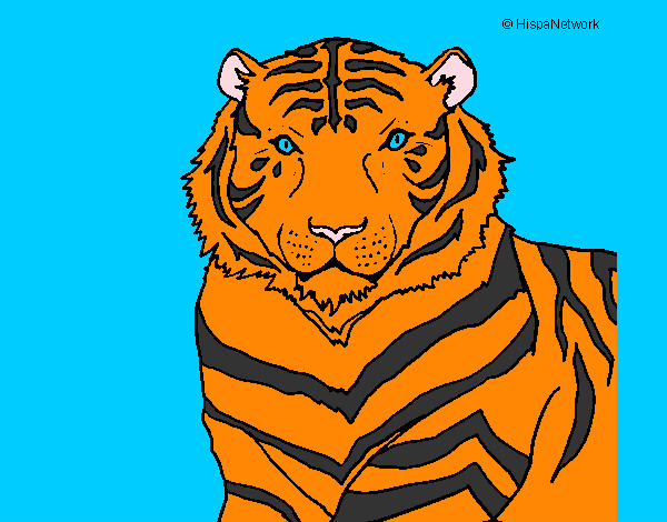 Disegno Tigre pitturato su gursi 