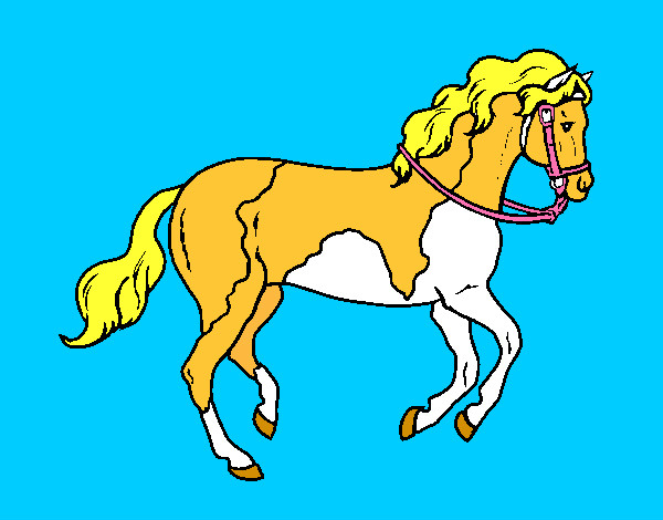 Disegno Cavallo 5 pitturato su ale04