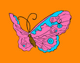 Disegno Farfalla Elegante pitturato su marta17