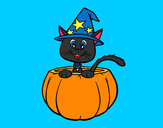 Disegno Gattino di Halloween pitturato su blake