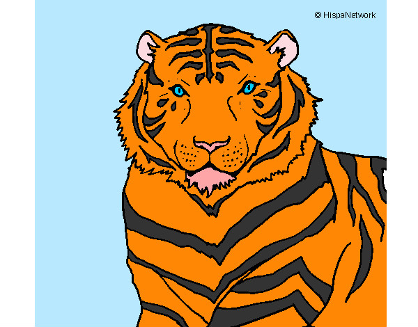Disegno Tigre pitturato su mick