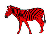 Disegno Zebra  pitturato su rinoceront