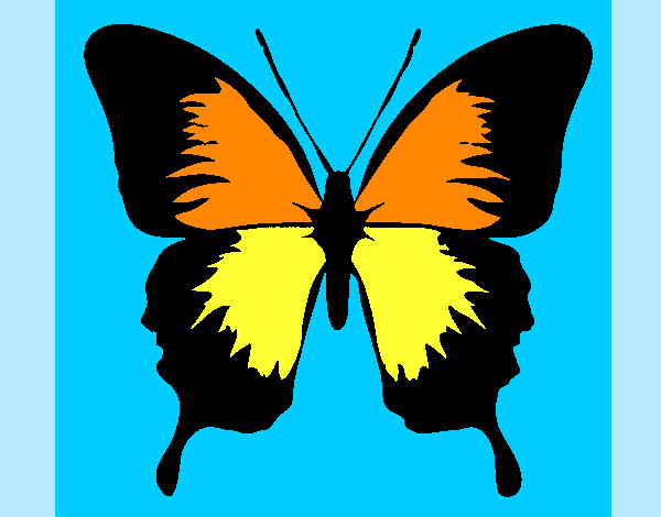 Disegno Farfalla con le ali nere pitturato su PAPA