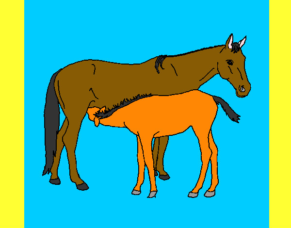 Disegno Cavalli  pitturato su GiudiBenni