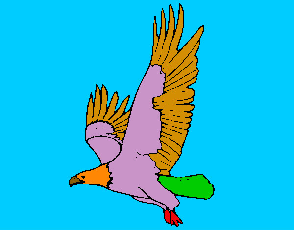Disegno Aquila in volo  pitturato su GABRIEL17