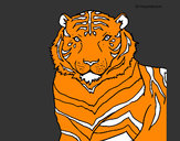 Disegno Tigre pitturato su GABRIEL17