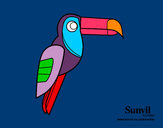 Disegno Uccello Tucano pitturato su GABRIEL17
