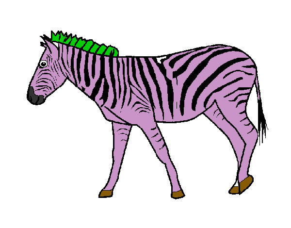 Disegno Zebra  pitturato su GABRIEL17