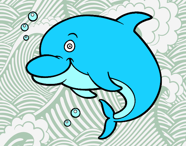 Delfino delle Amazzoni