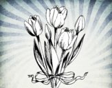 Tulipani con un fiocco