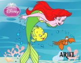 Disegno La Sirenetta - Ariel, Flounder e Sebastian pitturato su alessia07