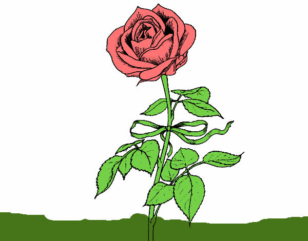 Disegno Una rosa pitturato su FARIQ 